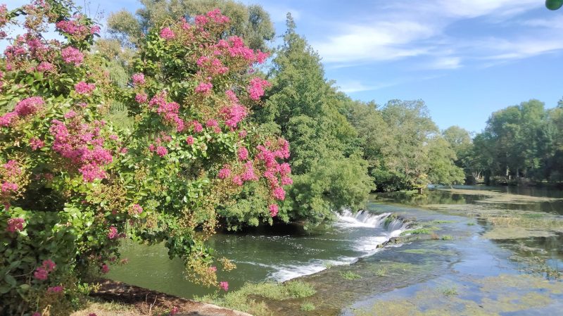 Magnifique Moulin Historique en Pierre de 336 m², Ile Privée, Fleuve Charente