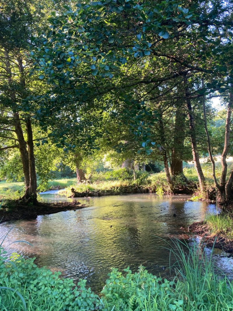 Emblématique Ancien Moulin, Bois/Ecuries/Dépendances, Revenu Potentiel, Proche de Nanteuil-en-Vallée, Charente