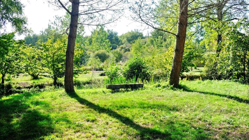 Charente. Moulin en Pierre pour Amoureux de la Nature, 8 ha, Ruisseau, Etang, Maison d'Amis, Bois
